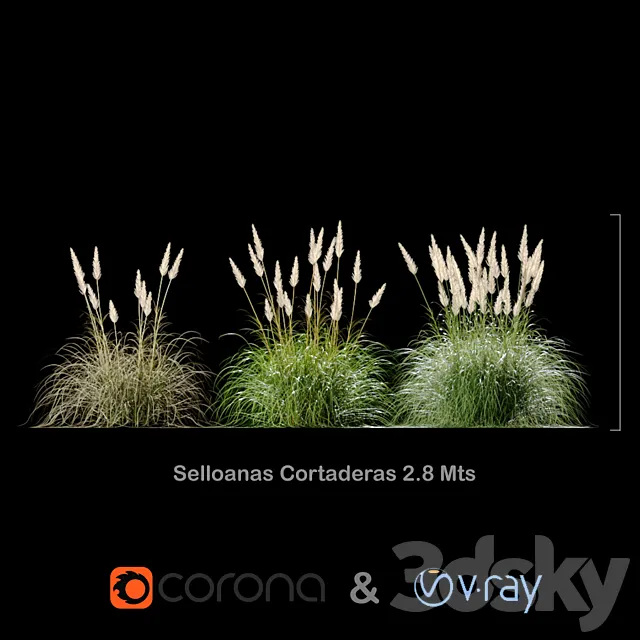 Selloanas Cortaderas Big 3DModel