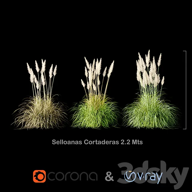 Selloanas Cortaderas Medium 3D Model