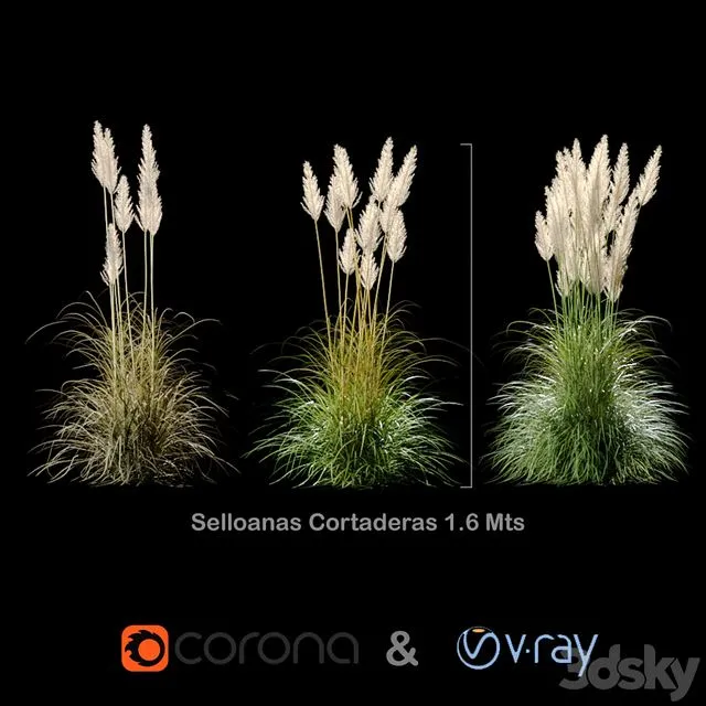 Selloanas Cortaderas Small 3D Model