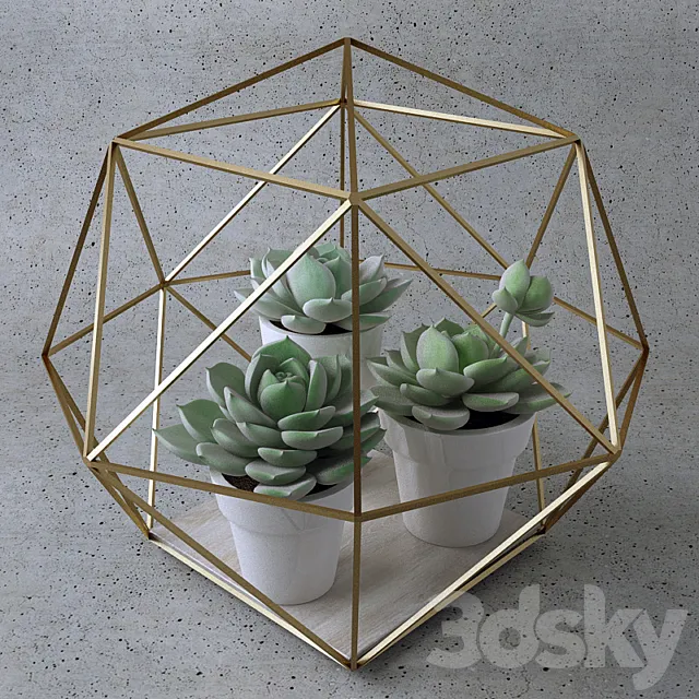 Sempervivum _ Stone Rose _ young 3DModel