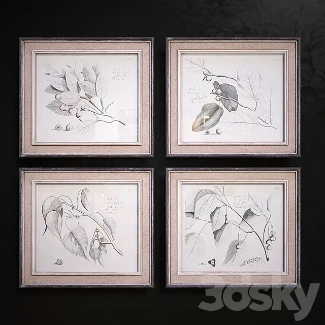 Sepia Leaf Study pictures 3D Model