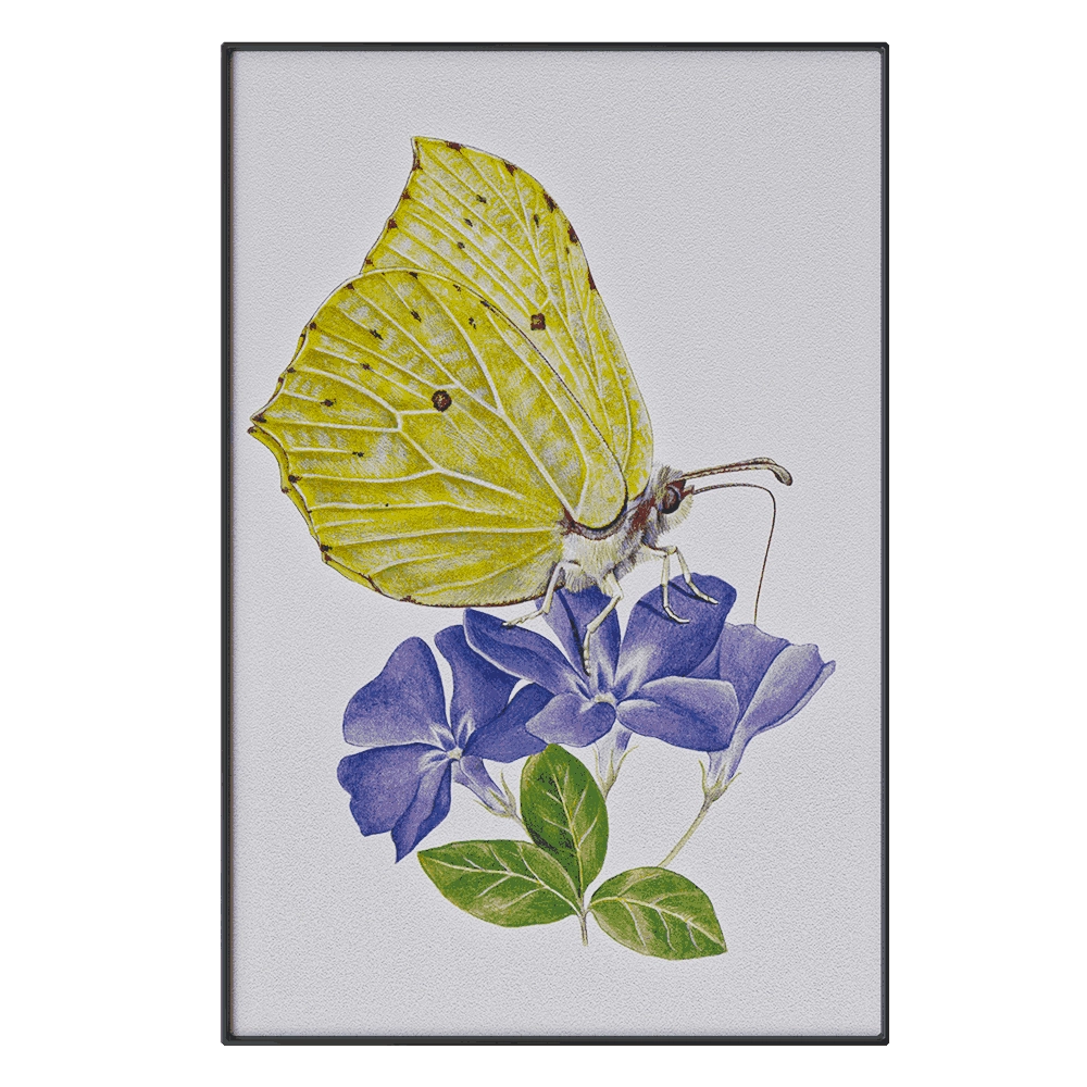 Serralunga - Paper SLU06 3D Model