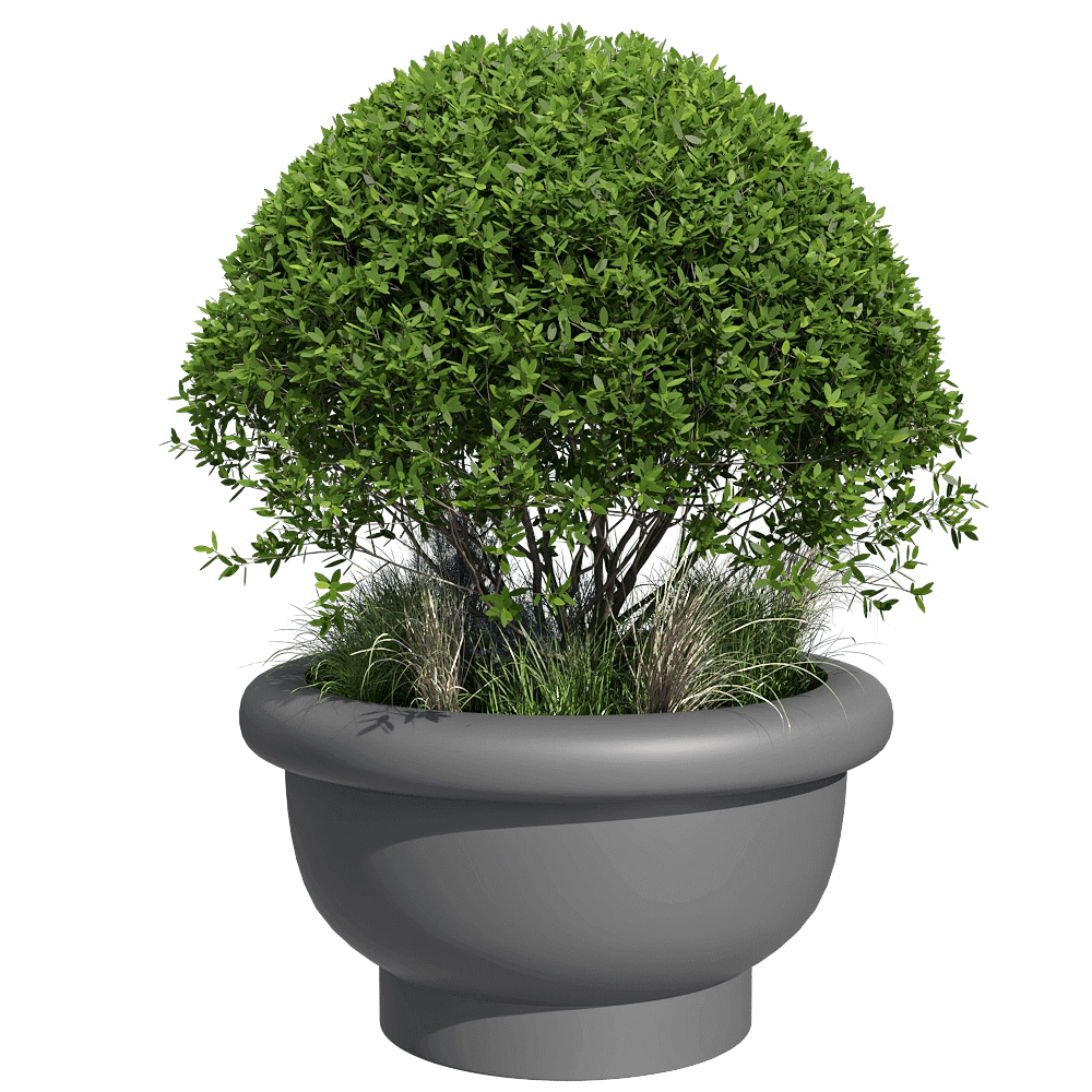 Serralunga - Planet KEW 3D Model