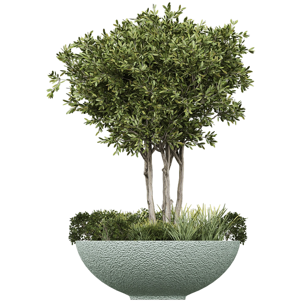 Serralunga - Planter Ciotola Ruvida 3D Model