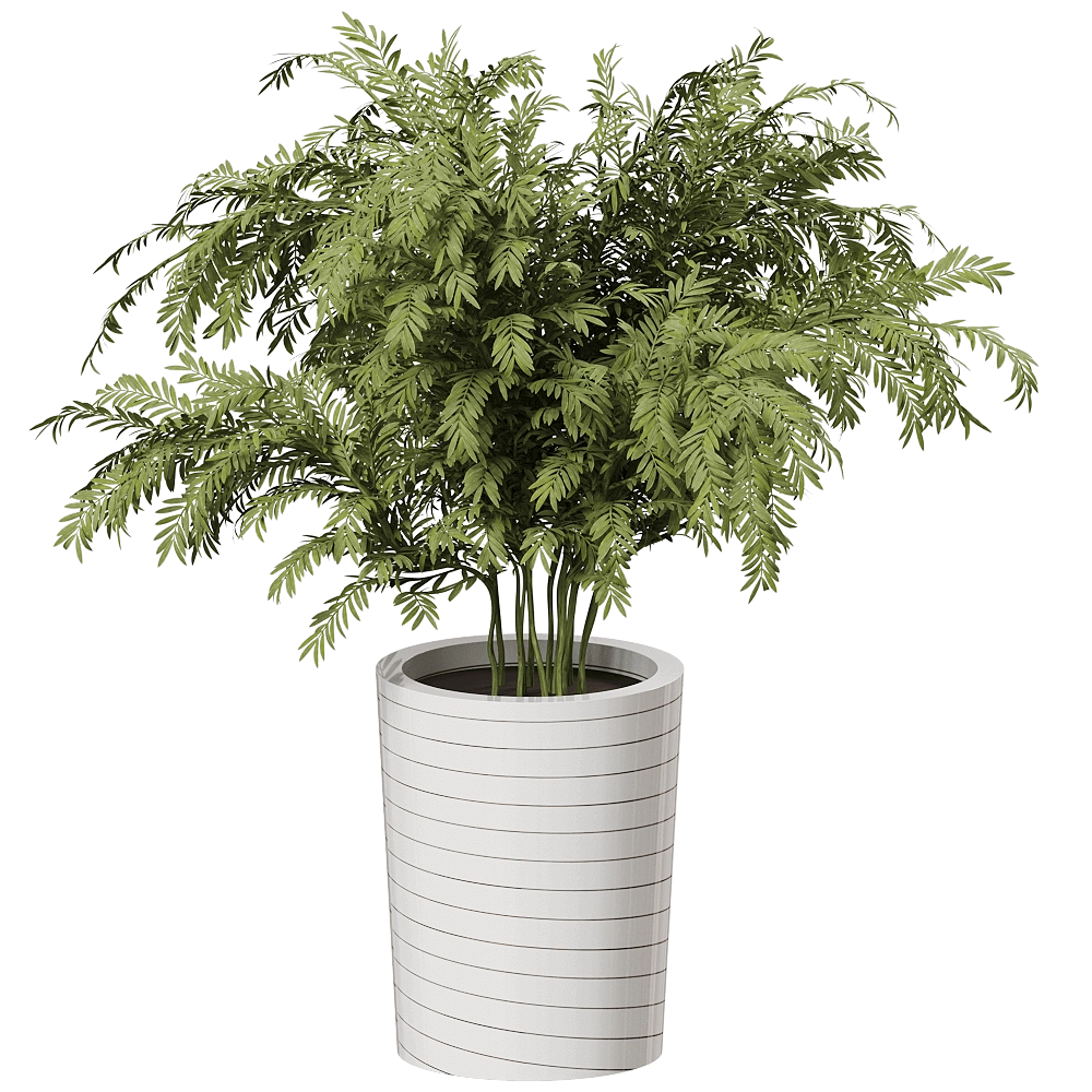 Serralunga - Planter Grand Jane 3D Model