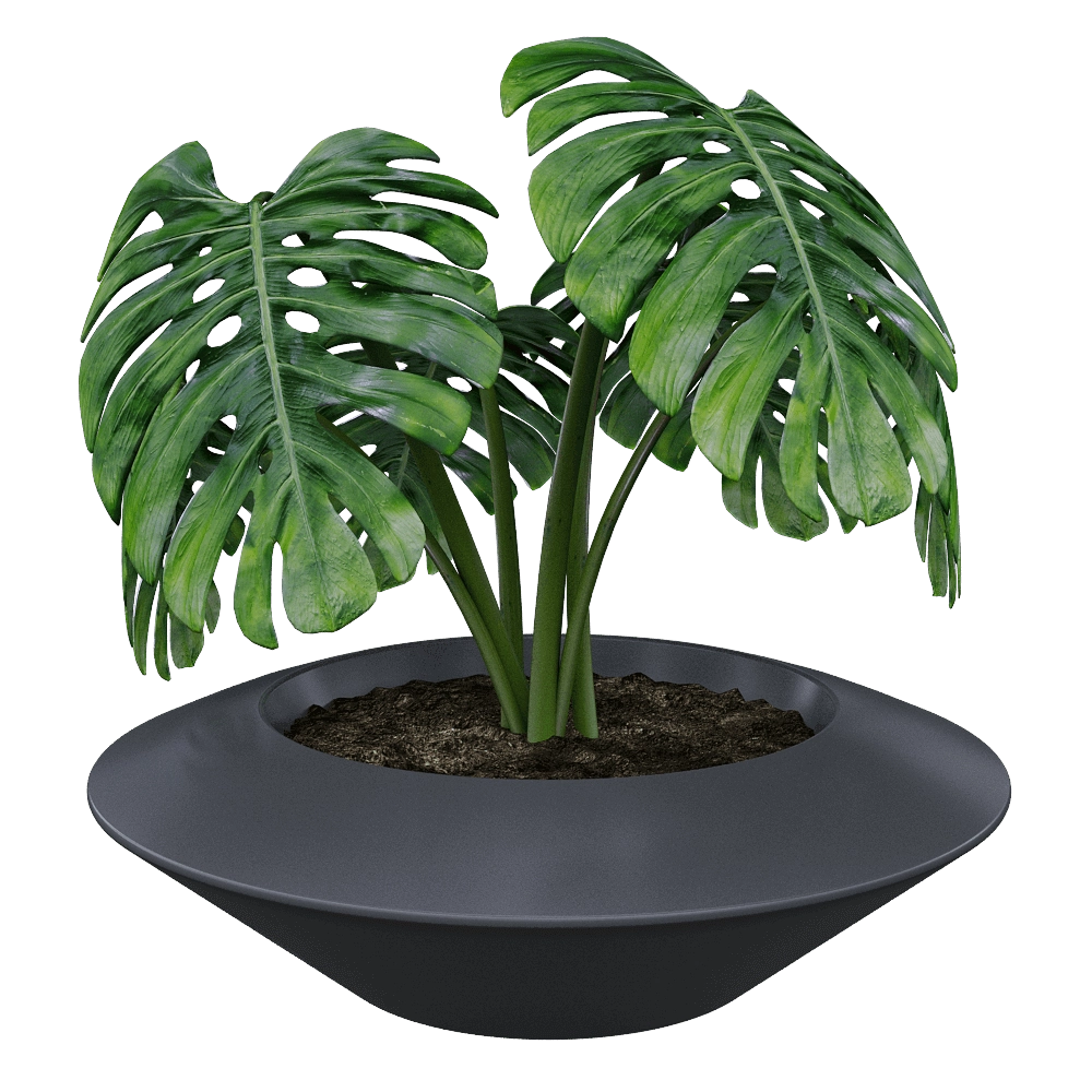 Serralunga - Planter IN ORBITA 3D Model