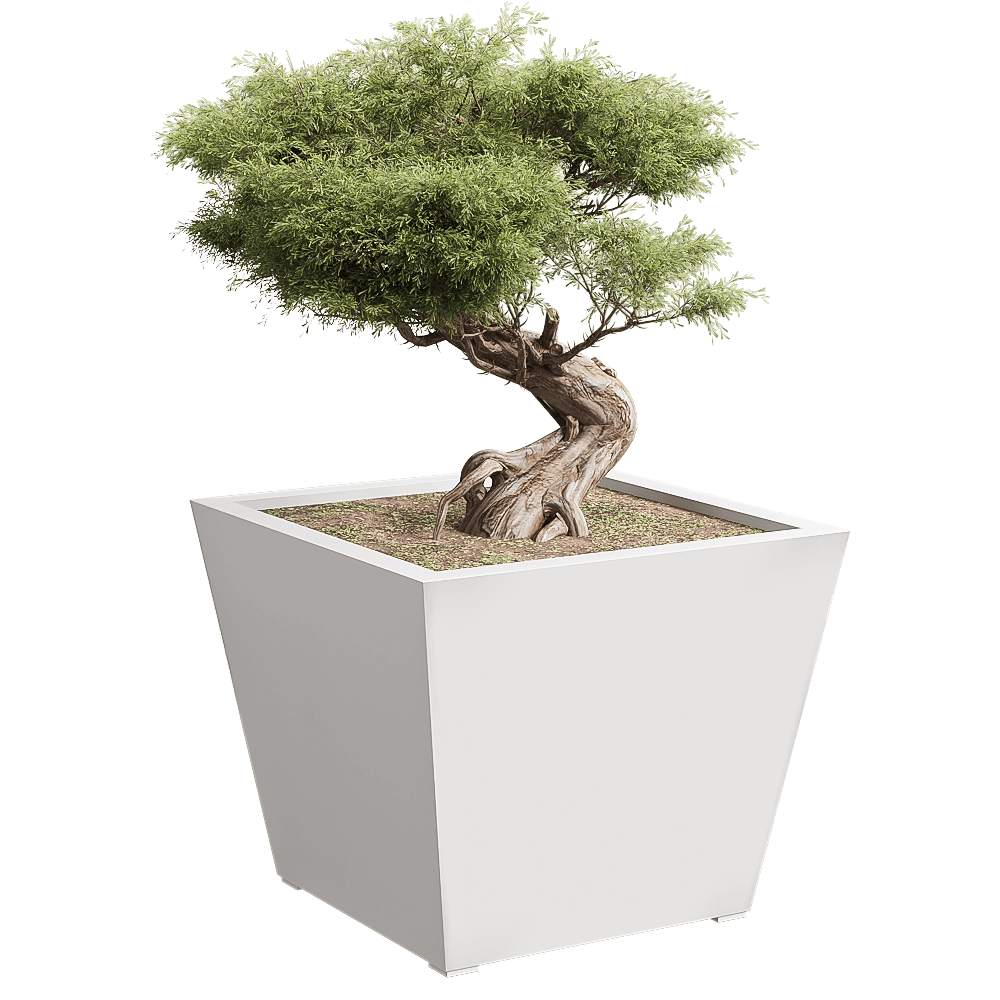 Serralunga - Planter Kabin 3D Model