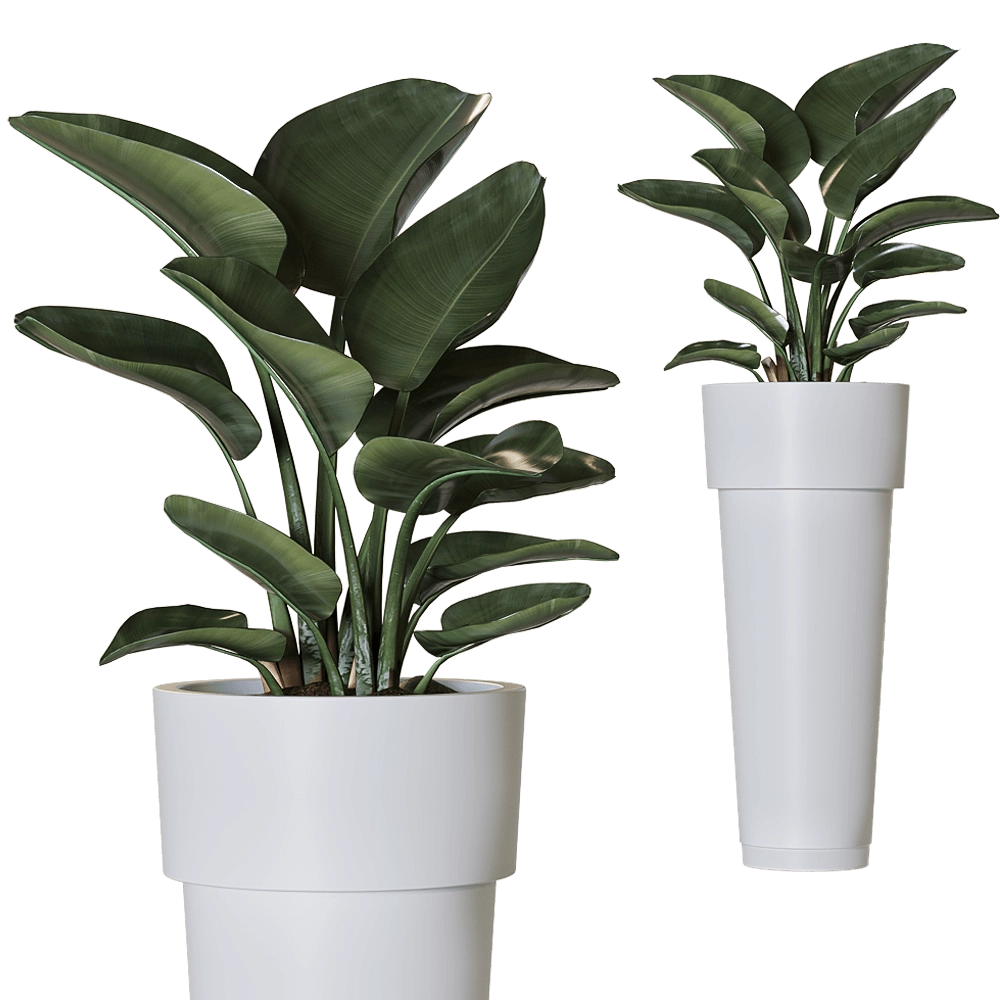 Serralunga - Planter Marcantonio 3D Model