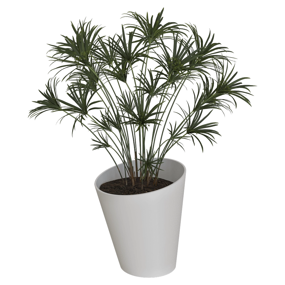 Serralunga - Planter Pisa 3D Model