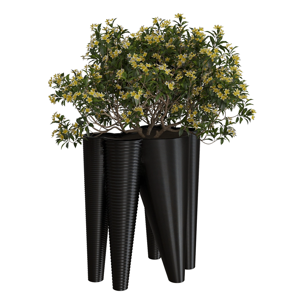 Serralunga - Planter The Vases 3D Model