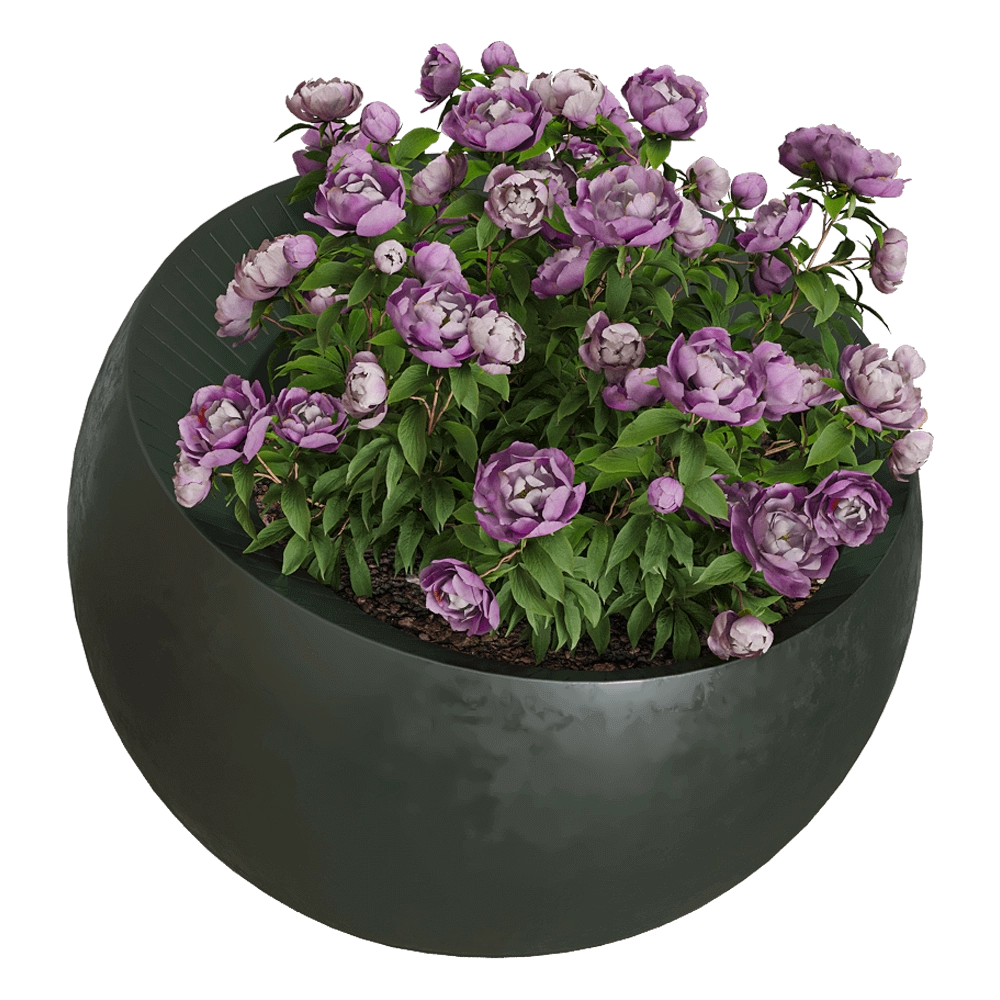 Serralunga - Planter Uovo di Colombo 3D Model