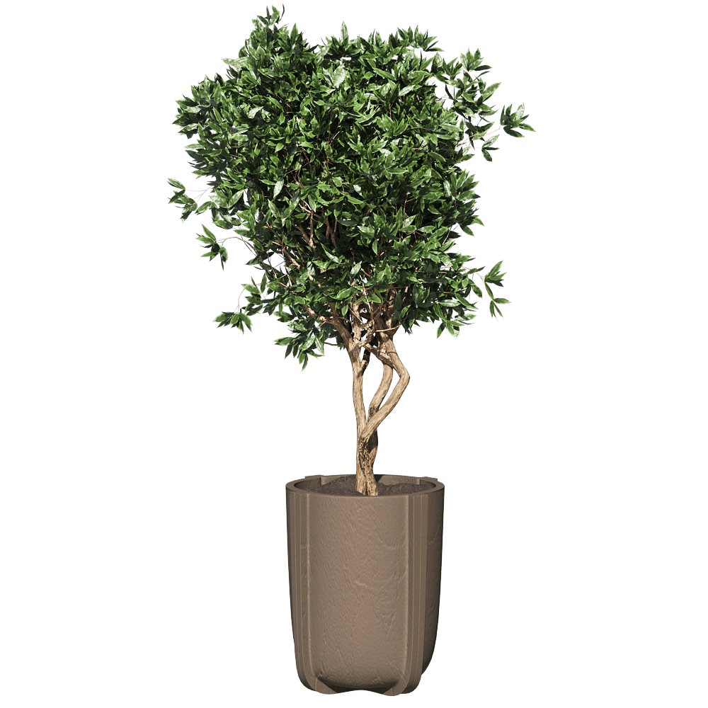 Serralunga - Vase Cassero 60 3D Model