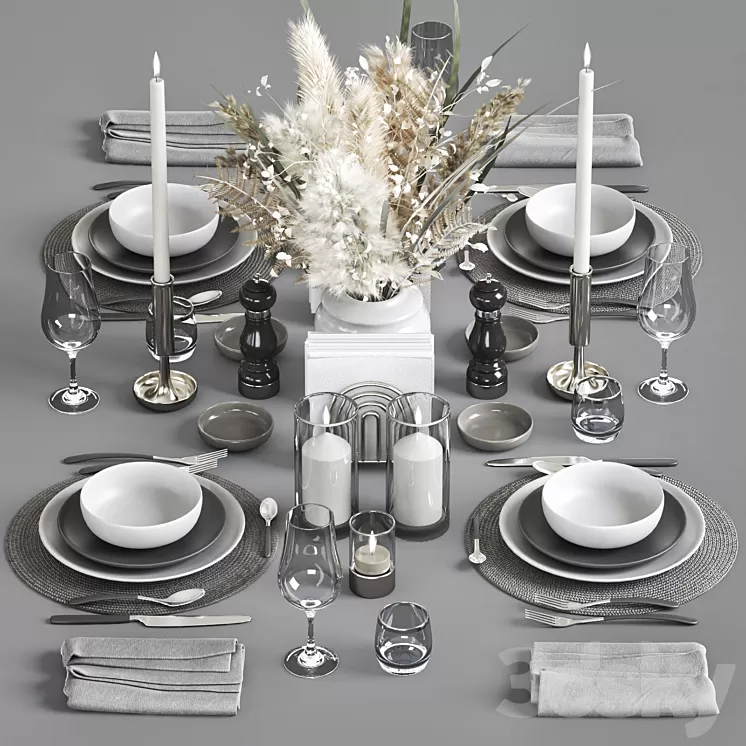 Serving 3 3D Model