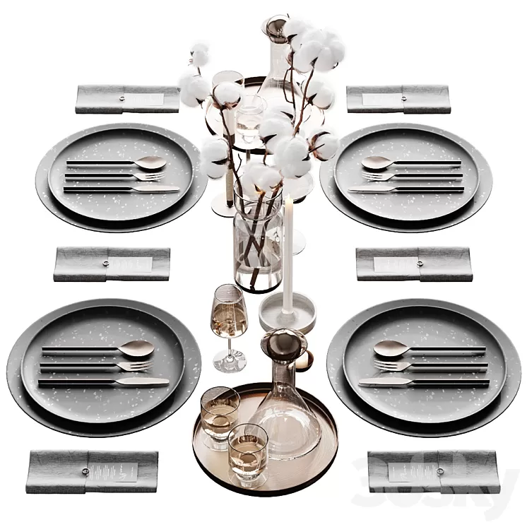 Servirovka 6 3D Model Free