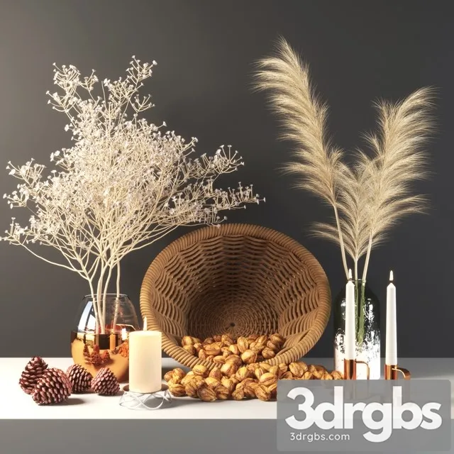 Set 355  Walnut 3D Model Free