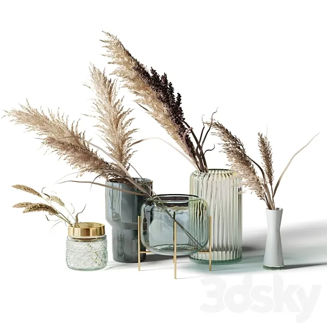 Set of 5 bouquets of dried flowers in glass vases 3D Model