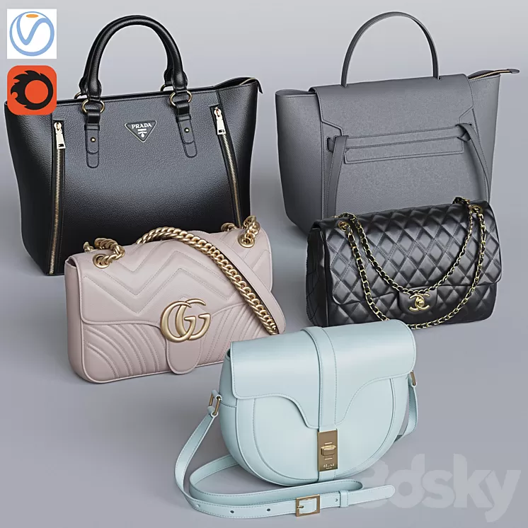 Set of bags 2