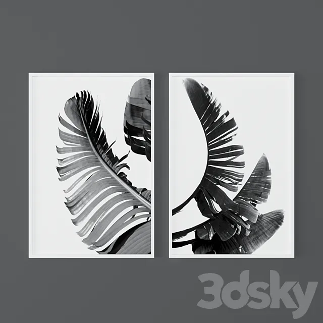 Set of black and white tropical prints Free Download