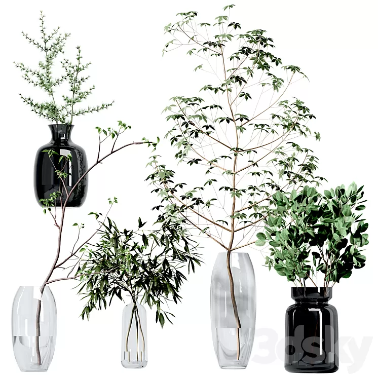 Set of branches in vases 3D Model