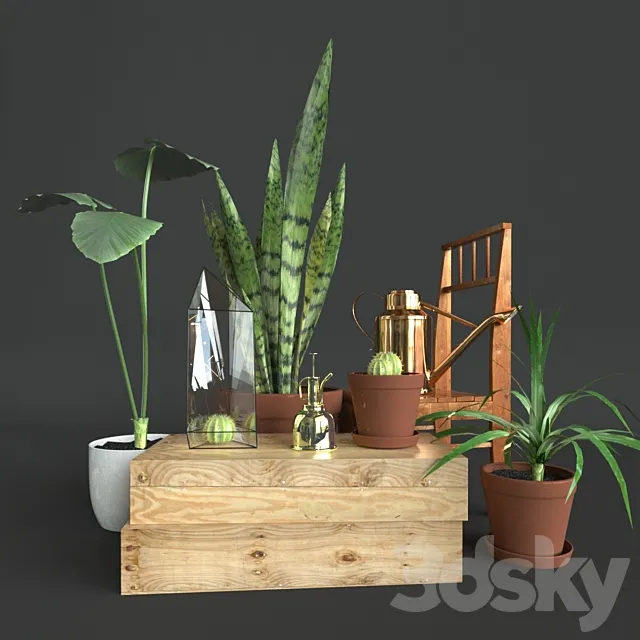 Set of decor with flowers 3D Model