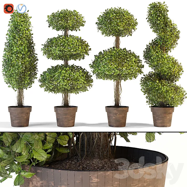 Set of decorative trees 3DModel