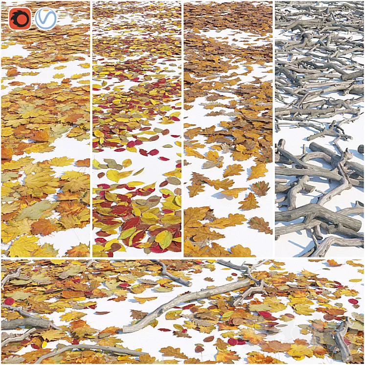 Set of dry leaves and twigs 3D Model
