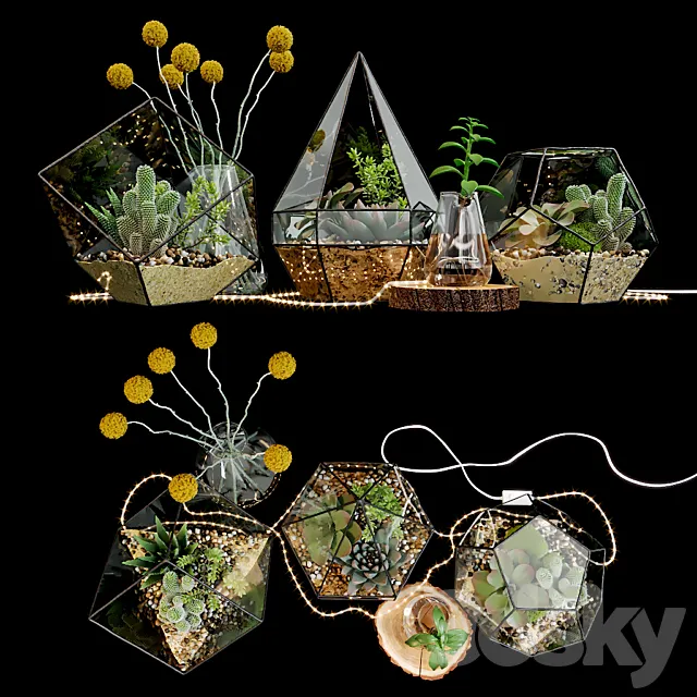 Set of florariums 3D Model