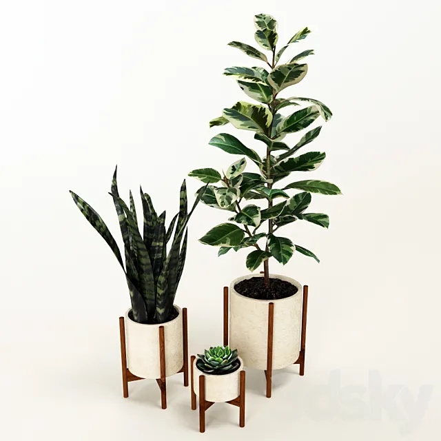 Set of flowers 3D Model