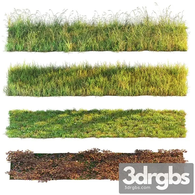 Set of Grass and Leaves 3D Model Free