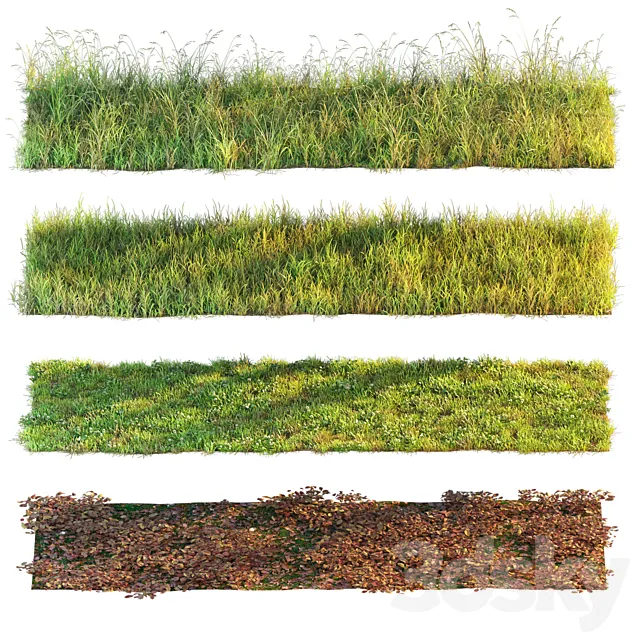 Set of grass and leaves. 3D Model