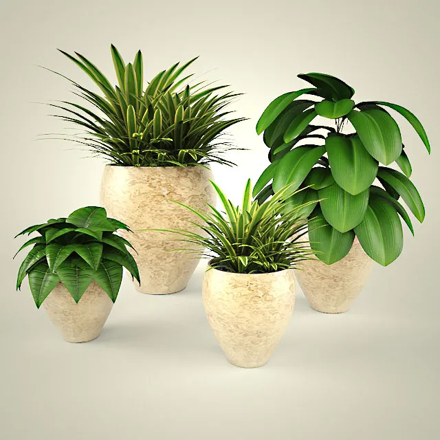 Set of homeplants Free Download