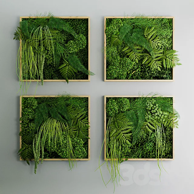 Set of moss and fern phyto modules Free Download