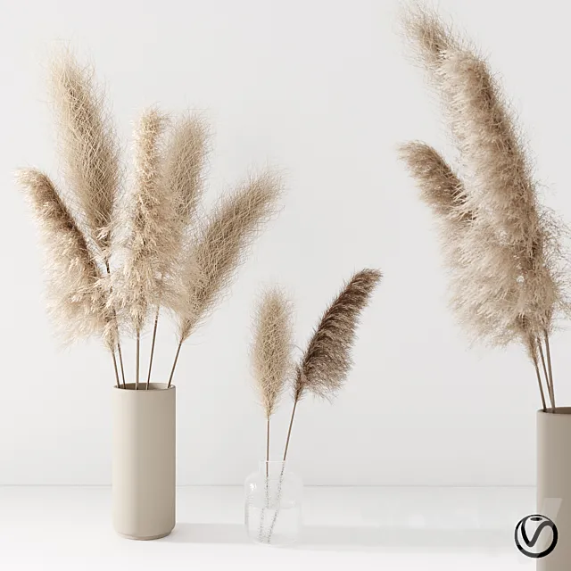 Set of pampas in vase 3D Model