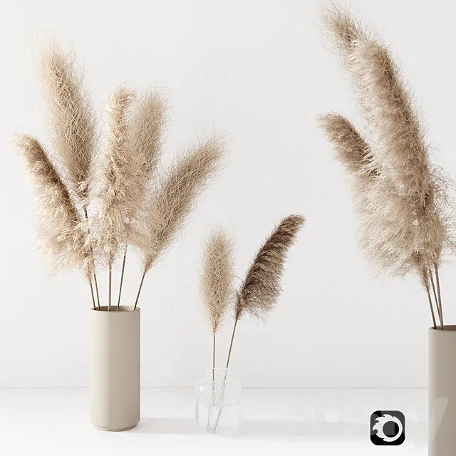 Set of pampas in vase 3DModel