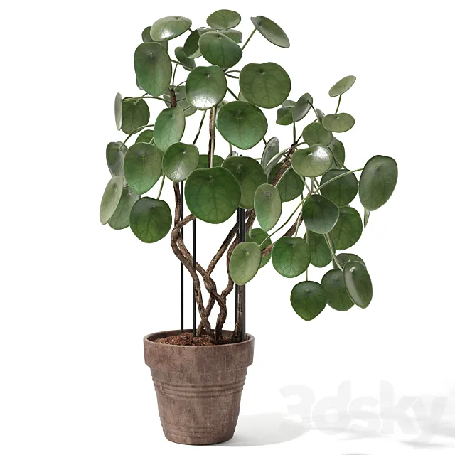 Set of plants 12 3D Model