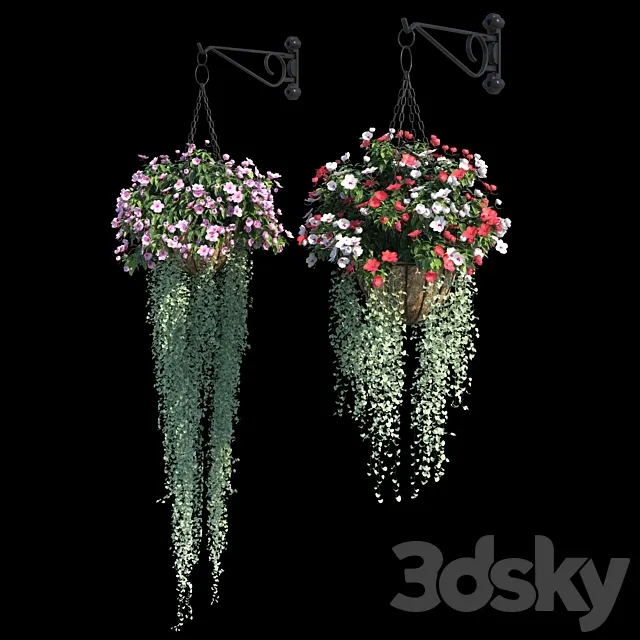 Set of plants No. 2 (balsamine + dichondra) 3D Model