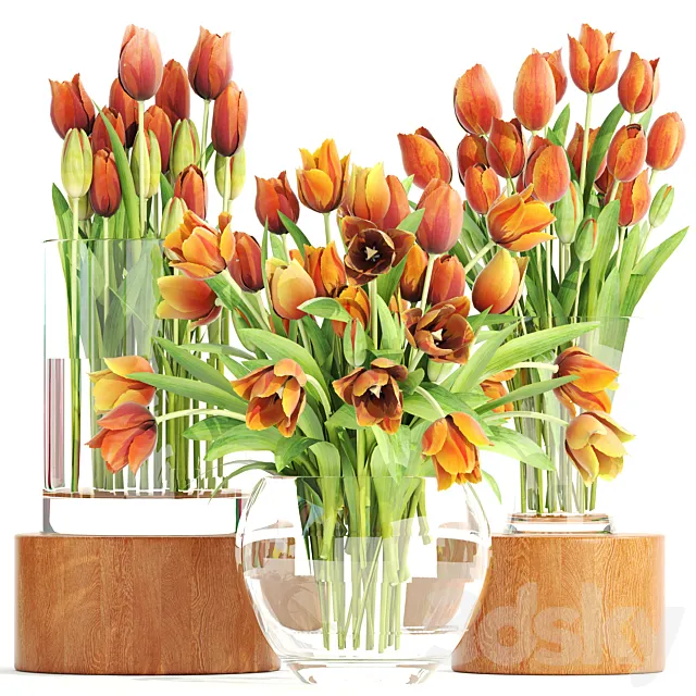 Set of spring bouquets 3. Tulips flower orange vase spring flowers 3D Model