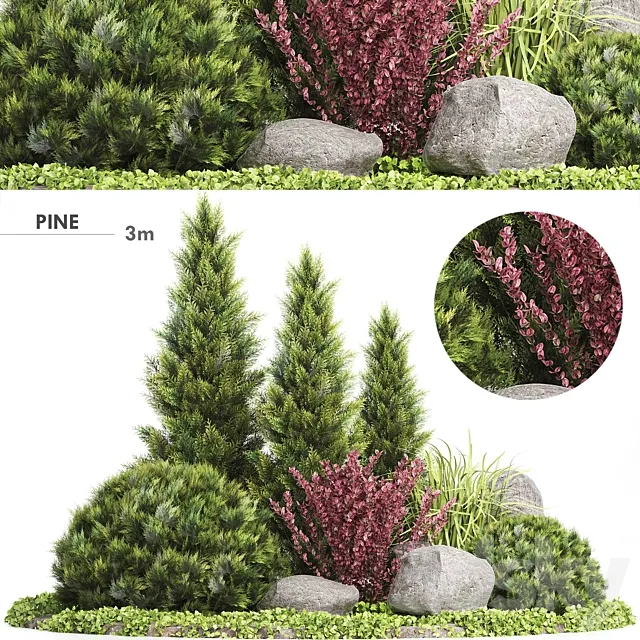 Set Plants 223 - Outdoor Garden 3D Model