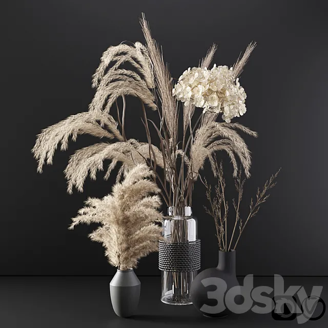 Set with dry plants 3DModel