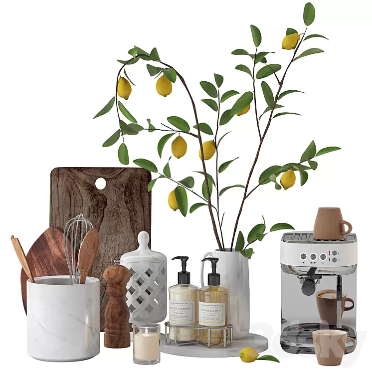 Set with lemon branches 3D Model