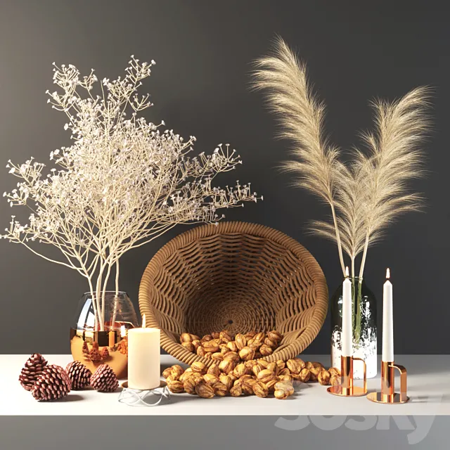 set355 -walnut 3DModel