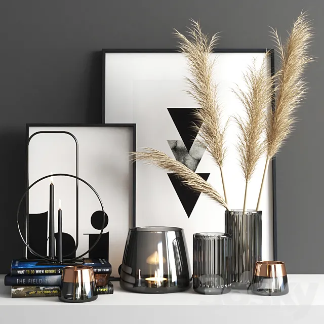 set711 -dryed plant2 3DModel