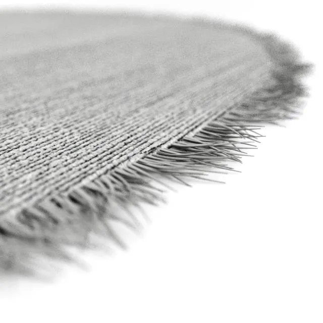 Shaggy carpet with round piping 3D Model
