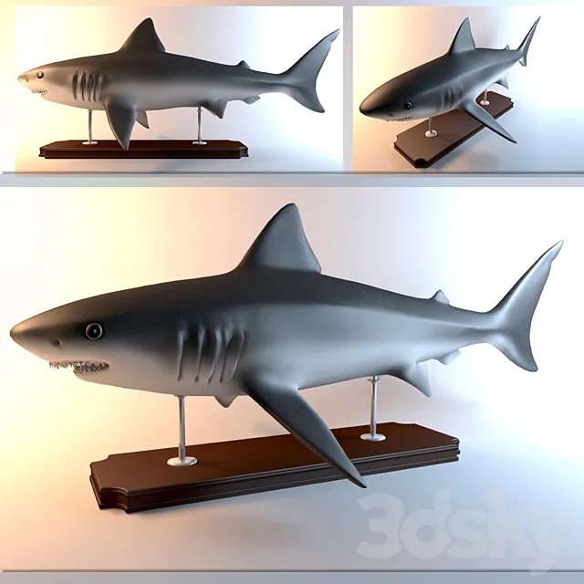 Shark 3DModel