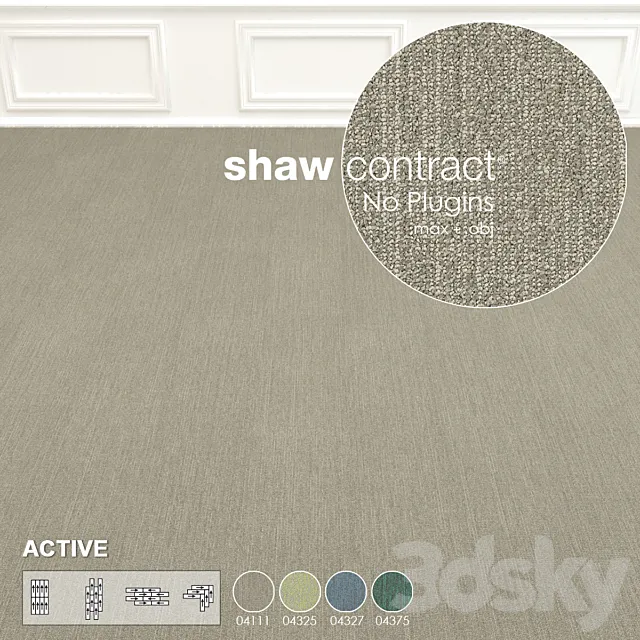 Shaw Carpet Active Wall to Wall Floor No 10 3D Model