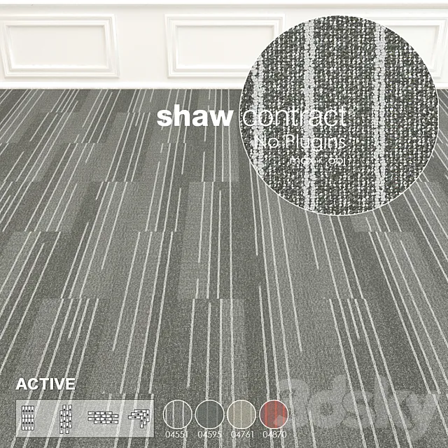 Shaw Carpet Active Wall to Wall Floor No 9 3D Model