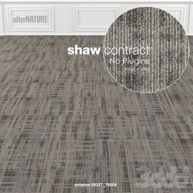 Shaw Carpet Alternature Entwine 3D Model