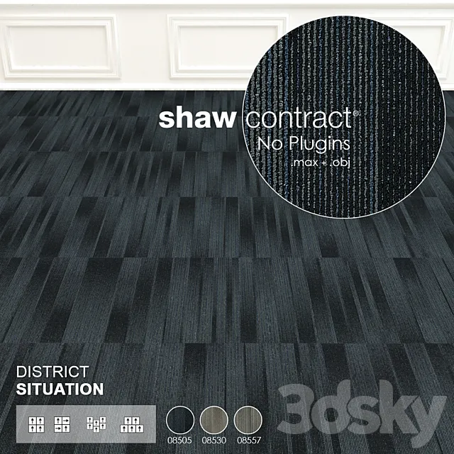 Shaw Carpet District Situation Wall to Wall Floor No 1 3D Model