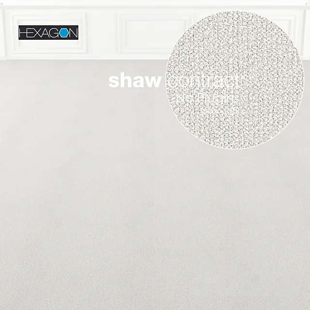Shaw Carpet Hexagon Plane No: 2 3D Model