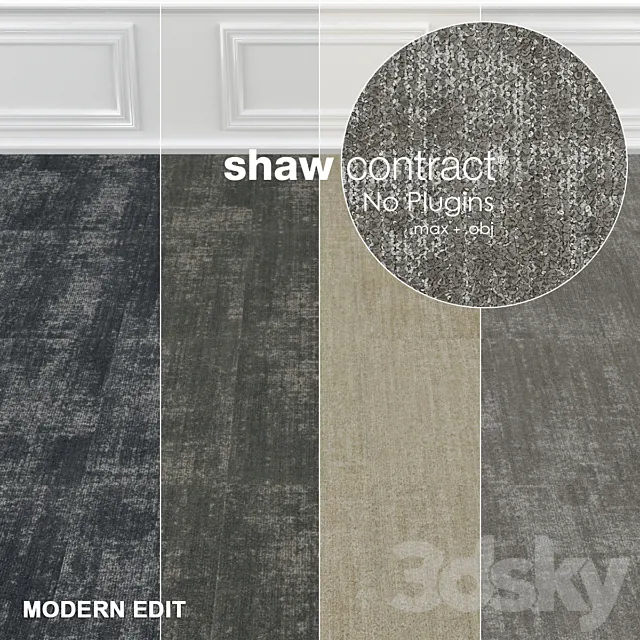 Shaw Carpet Intricate Wall to Wall Floor No 1 3DModel